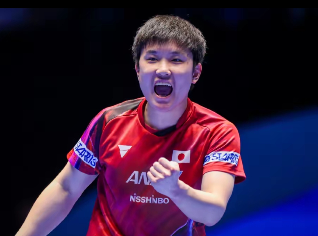 会加大了对 会加大了对